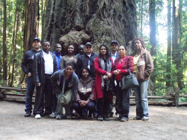 USA, CA. Sequoia Park